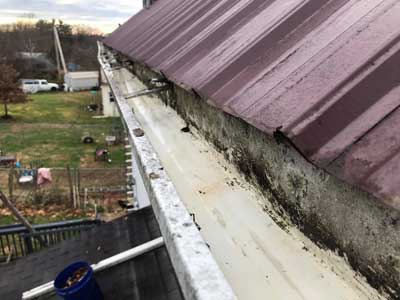 Gutter Cleaning after